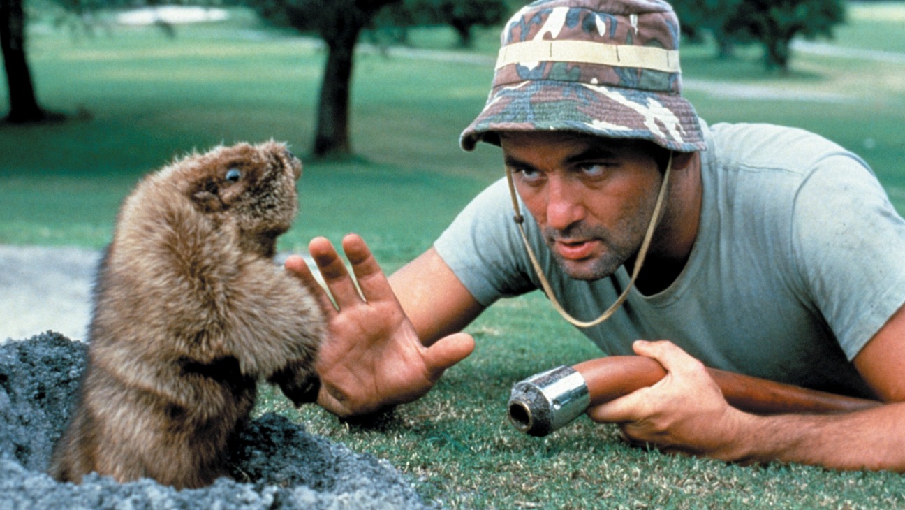 caddyshack at 40